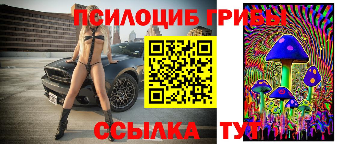 Псилоцибиновые грибы мухоморы Рославль